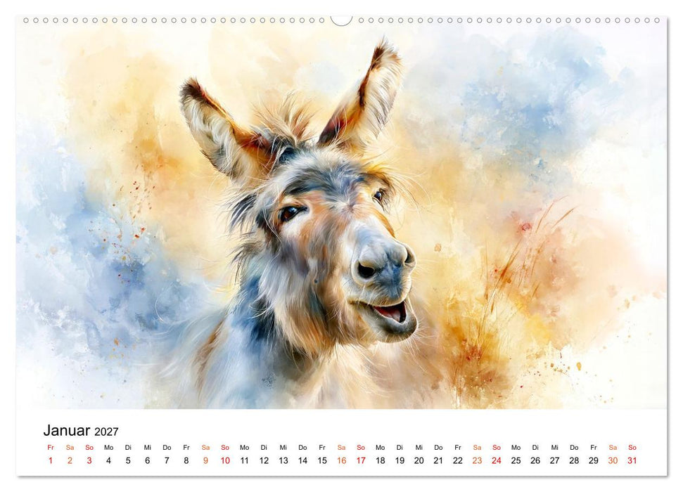 Esel - Wenn Ruhe ein Gesicht hätte (CALVENDO Wandkalender 2027)