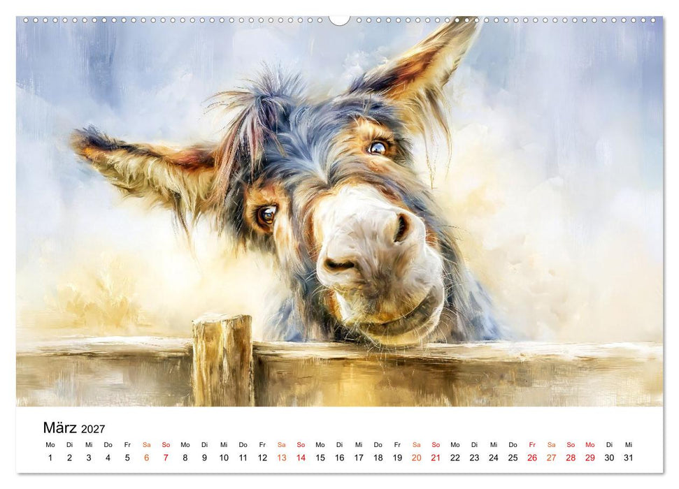 Esel - Wenn Ruhe ein Gesicht hätte (CALVENDO Wandkalender 2027)