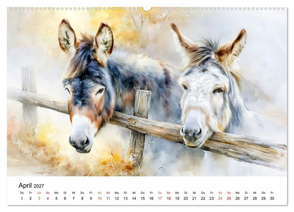 Esel - Wenn Ruhe ein Gesicht hätte (CALVENDO Wandkalender 2027)