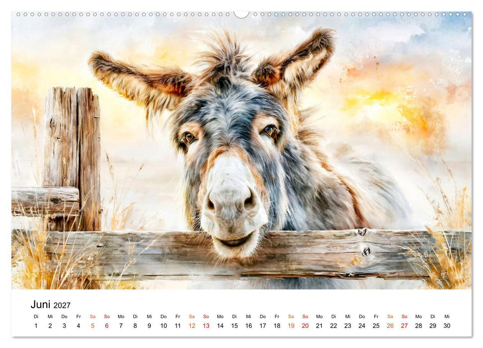 Esel - Wenn Ruhe ein Gesicht hätte (CALVENDO Wandkalender 2027)