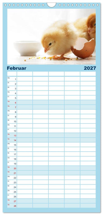 Küken in der Kinderstube (CALVENDO Familienplaner 2027)