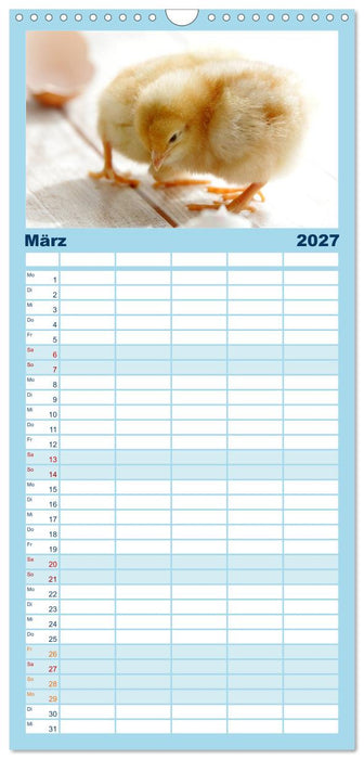 Küken in der Kinderstube (CALVENDO Familienplaner 2027)