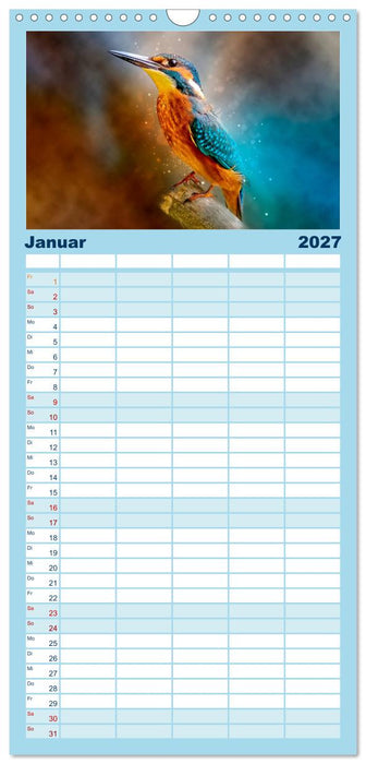 Wunderschöner Eisvogel (CALVENDO Familienplaner 2027)