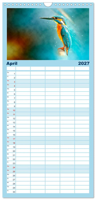 Wunderschöner Eisvogel (CALVENDO Familienplaner 2027)