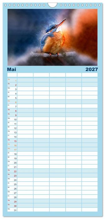Wunderschöner Eisvogel (CALVENDO Familienplaner 2027)