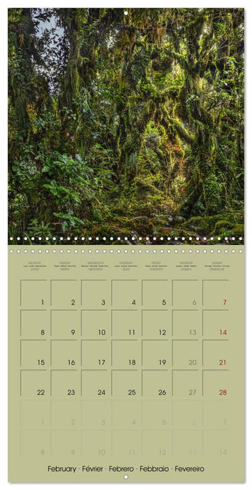 New Zealand, Islands Of Dreams (CALVENDO Monthly Calendar 2027)