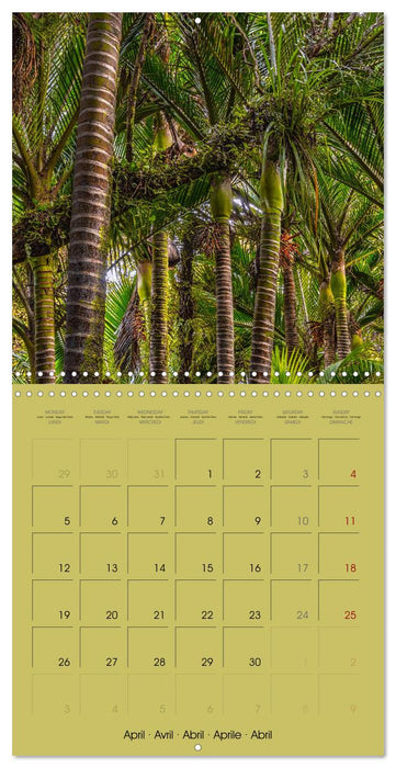 New Zealand, Islands Of Dreams (CALVENDO Monthly Calendar 2027)