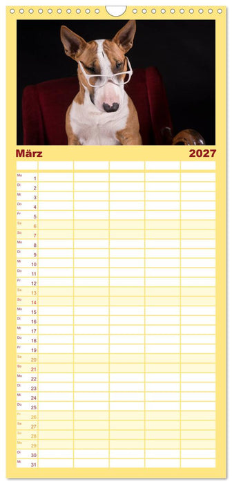 Bullterrier (CALVENDO Familienplaner 2027)