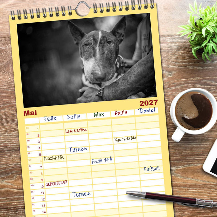 Bullterrier (CALVENDO Familienplaner 2027)