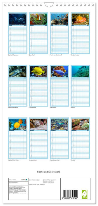 Fische und Meerestiere (CALVENDO Familienplaner 2027)