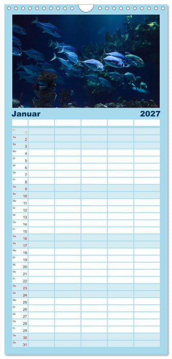 Fische und Meerestiere (CALVENDO Familienplaner 2027)