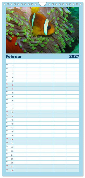 Fische und Meerestiere (CALVENDO Familienplaner 2027)