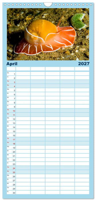 Fische und Meerestiere (CALVENDO Familienplaner 2027)