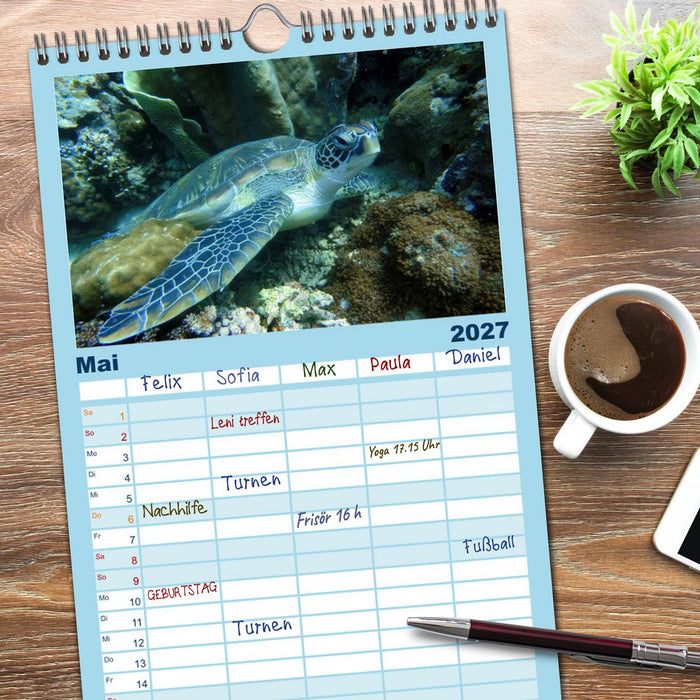 Fische und Meerestiere (CALVENDO Familienplaner 2027)