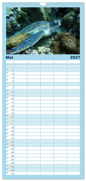 Fische und Meerestiere (CALVENDO Familienplaner 2027)