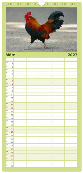 Die Welt der Hühner (CALVENDO Familienplaner 2027)