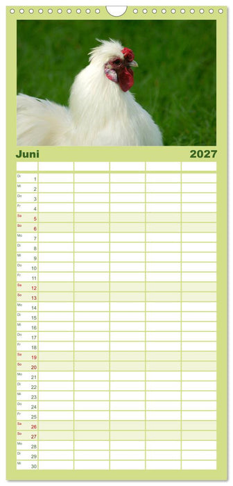 Die Welt der Hühner (CALVENDO Familienplaner 2027)