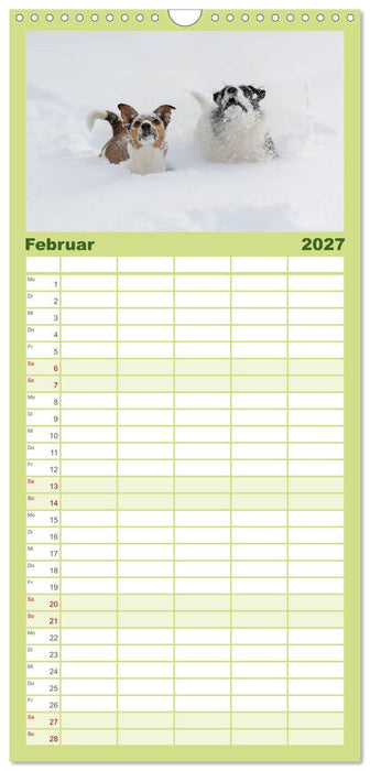 Emotionale Momente: Wild und Jagd. (CALVENDO Familienplaner 2027)