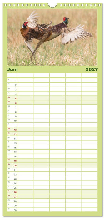Emotionale Momente: Wild und Jagd. (CALVENDO Familienplaner 2027)