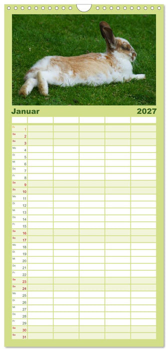 Liebenswerte Zwergkaninchen (CALVENDO Familienplaner 2027)