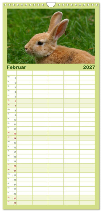 Liebenswerte Zwergkaninchen (CALVENDO Familienplaner 2027)