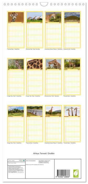 Afrikas Tierwelt: Giraffen (CALVENDO Familienplaner 2027)
