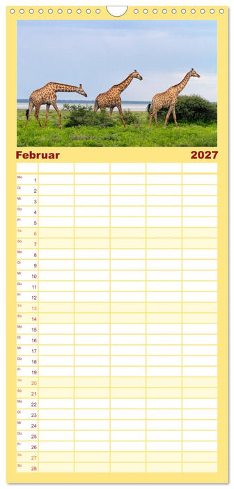 Afrikas Tierwelt: Giraffen (CALVENDO Familienplaner 2027)