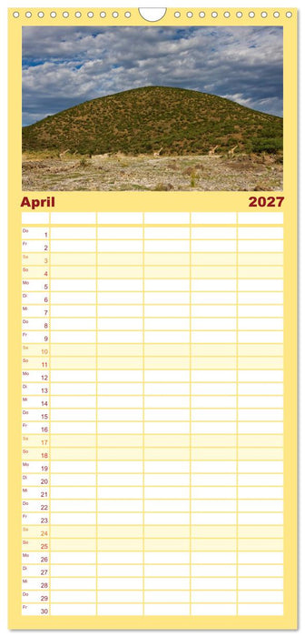 Afrikas Tierwelt: Giraffen (CALVENDO Familienplaner 2027)