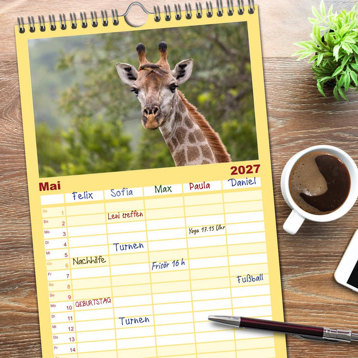 Afrikas Tierwelt: Giraffen (CALVENDO Familienplaner 2027)