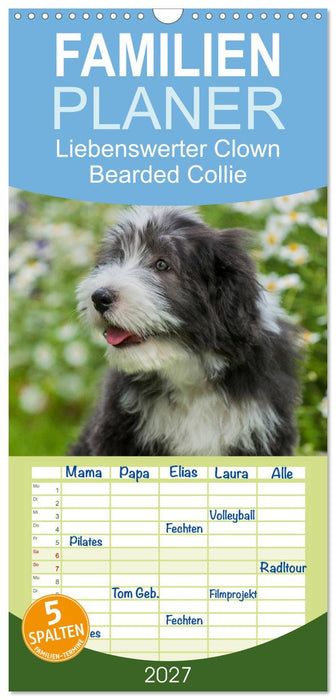 Liebenswerter Clown Bearded Collie (CALVENDO Familienplaner 2027)