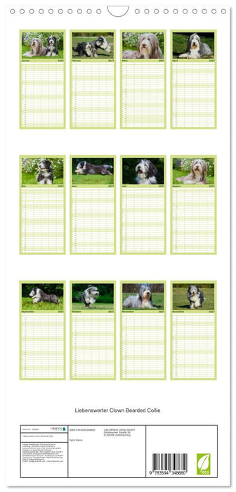 Liebenswerter Clown Bearded Collie (CALVENDO Familienplaner 2027)