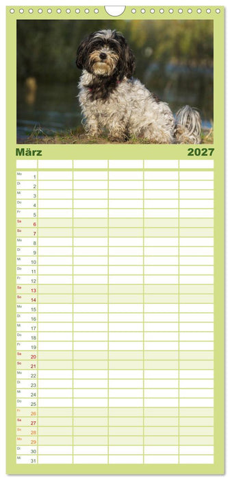 Havaneser - Herz auf 4 Pfoten (CALVENDO Familienplaner 2027)