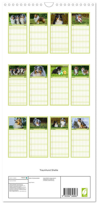 Traumhund Sheltie (CALVENDO Familienplaner 2027)