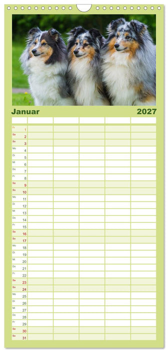 Traumhund Sheltie (CALVENDO Familienplaner 2027)
