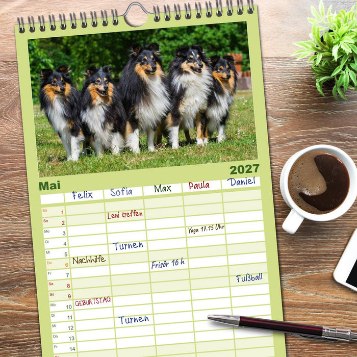 Traumhund Sheltie (CALVENDO Familienplaner 2027)