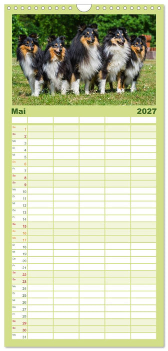 Traumhund Sheltie (CALVENDO Familienplaner 2027)