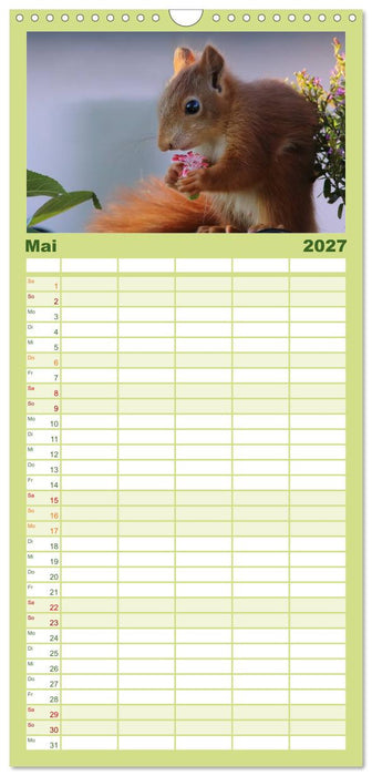 Eichhörnchen Kinder (CALVENDO Familienplaner 2027)