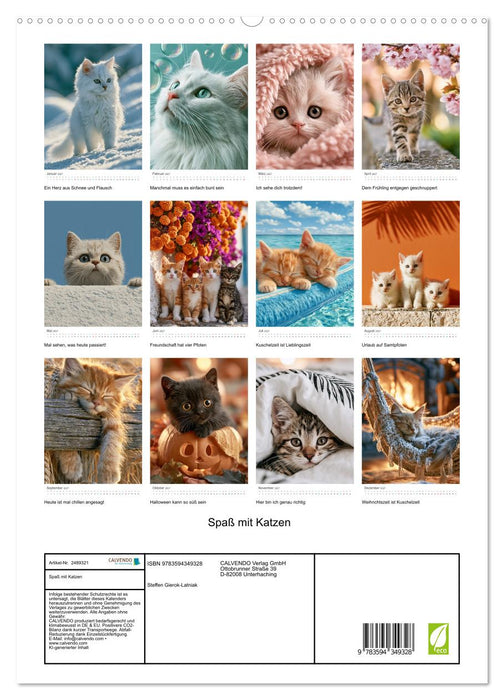 Spaß mit Katzen (CALVENDO Premium Wandkalender 2027)