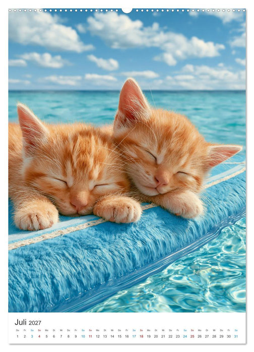 Spaß mit Katzen (CALVENDO Premium Wandkalender 2027)