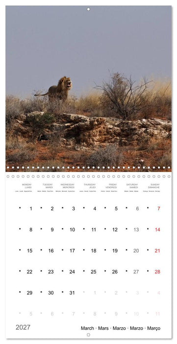 Adventure South Africa 2027 (CALVENDO Monthly Calendar 2027)