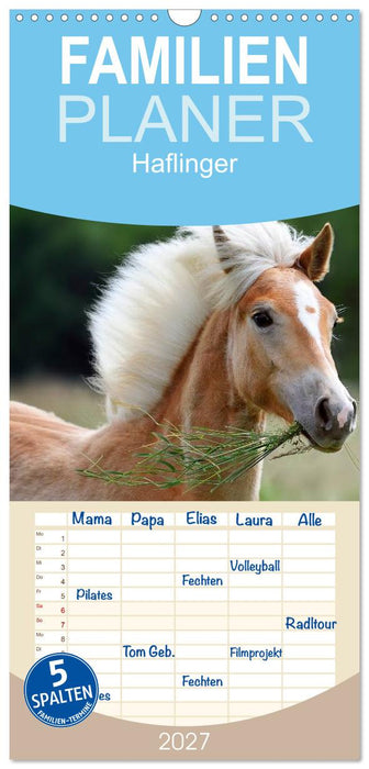 Haflinger (CALVENDO Familienplaner 2027)