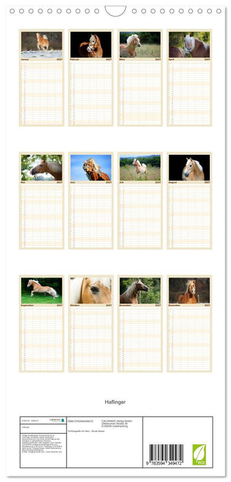 Haflinger (CALVENDO Familienplaner 2027)