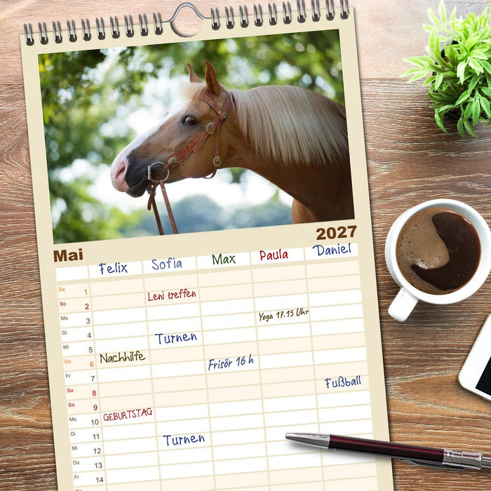 Haflinger (CALVENDO Familienplaner 2027)