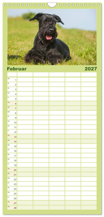 Treuer Freund Riesenschnauzer (CALVENDO Familienplaner 2027)