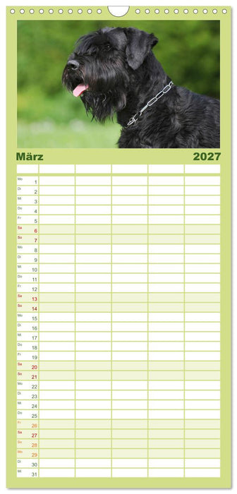 Treuer Freund Riesenschnauzer (CALVENDO Familienplaner 2027)