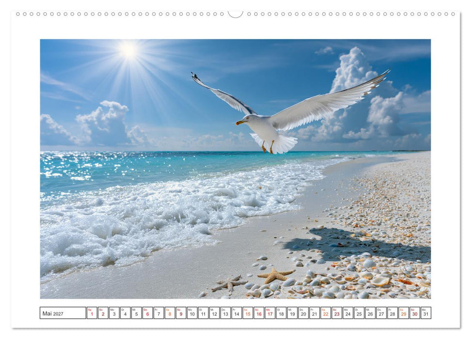 Karibische Träume (CALVENDO Wandkalender 2027)