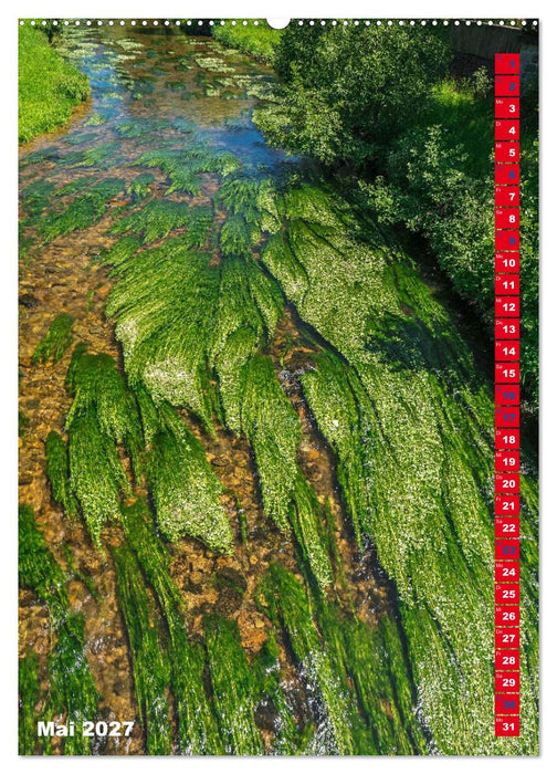 Schiltach im oberen Kinzigtal (CALVENDO Wandkalender 2027)