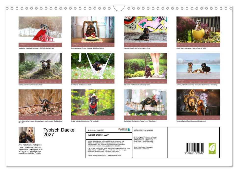 Typisch Dackel 2027 (CALVENDO Wandkalender 2027)