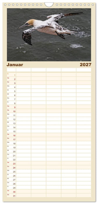 Helgoland und die Düne (CALVENDO Familienplaner 2027)