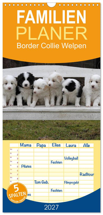 Border Collie Welpen (CALVENDO Familienplaner 2027)